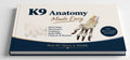 K9 Anatomy Made Easy Mind Maps, Mnemonics, Analogies & Beyond. Part 1. Basic Concepts and Forelimb